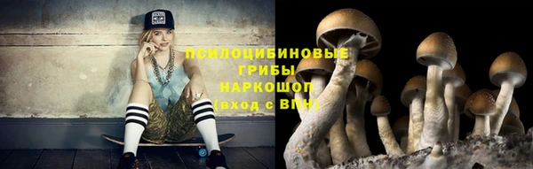 бошки Дмитровск
