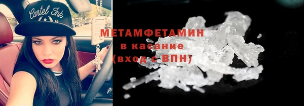 соль ск Дмитриев