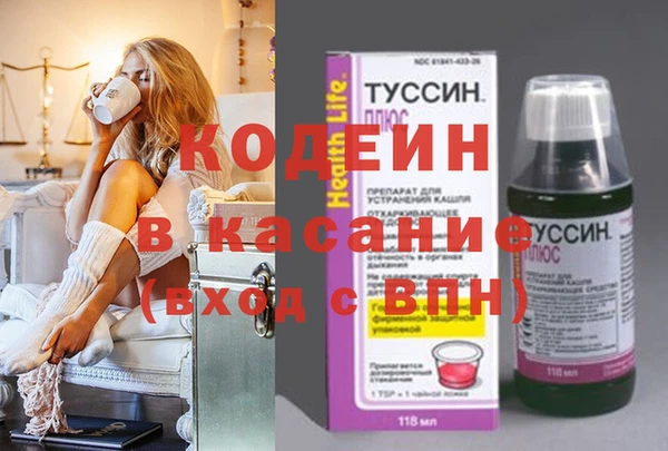 соль ск Дмитриев