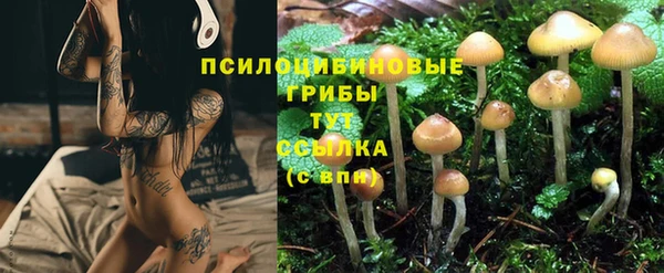бошки Дмитровск