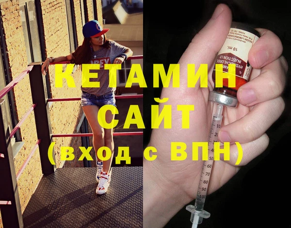 соль ск Дмитриев