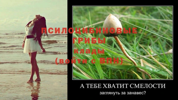 ГАЛЛЮЦИНОГЕННЫЕ ГРИБЫ Дмитров