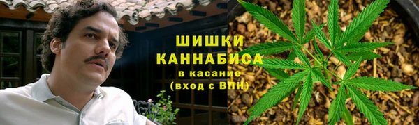 ГАЛЛЮЦИНОГЕННЫЕ ГРИБЫ Дмитров