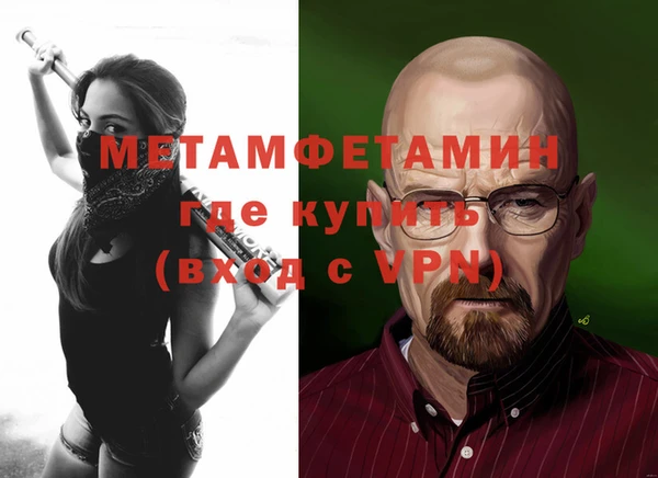 соль ск Дмитриев