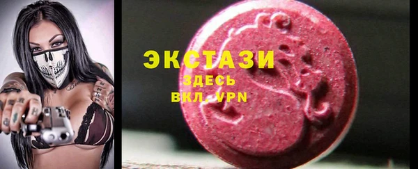 соль ск Дмитриев